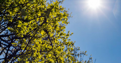 Pronostican altas temperaturas y escasas lluvias en los próximos días