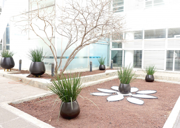 El Campus León de la UG se pone verde