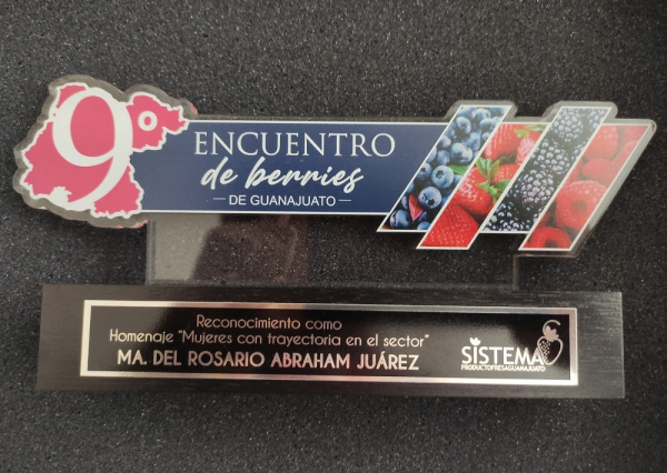 Reconocen trayectoria de la Dra. Ma. del Rosario Abraham Juárez por respaldar proyectos productivos de fresa 