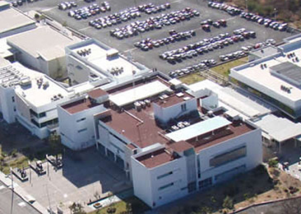 El trabajo en equipo permite la transición gradual a las actividades presenciales  en la DICIS 