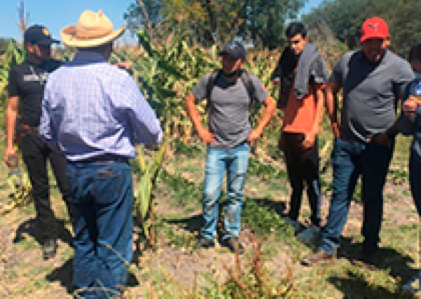 El Centro Interdisciplinario de Agroecología de la UG recibe visita de estudiantes del ITESS