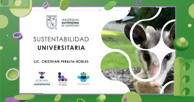 Universidades comparten experiencias y estrategias para impulsar sustentabilidad estudiantil