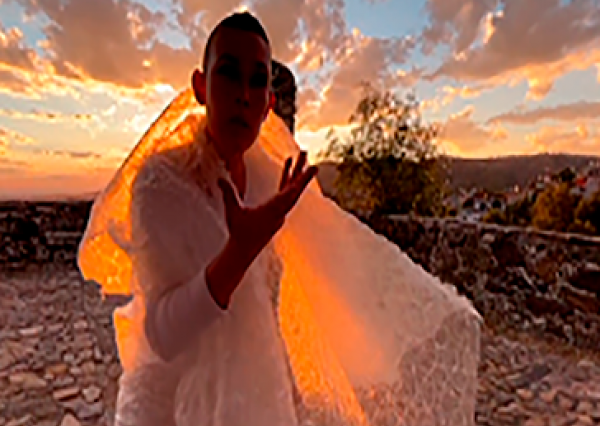 Danza para no humanos, propuesta de reconciliación con el entorno físico, animal y vegetal  