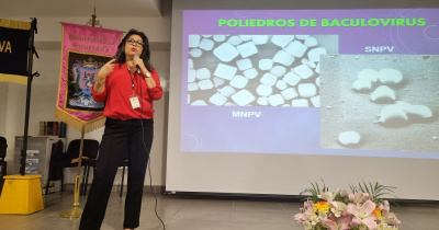 UG y SDAYR guían el control de insectos plaga con bioinsecticidas y agentes microbianos 