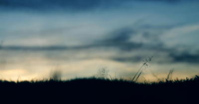 Meteorólogo de la UG anticipa escasa probabilidad de heladas esta semana, pero habrá aumento de vientos