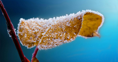 Se prevén temperaturas menores a los 10 °C durante esta semana