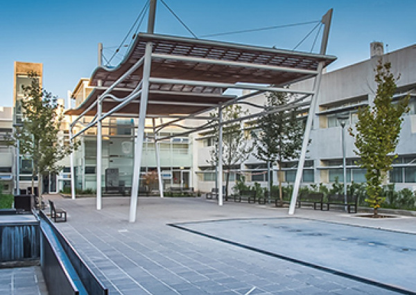 Atiende Universidad de Guanajuato seguridad de estudiantes en los campos clínicos