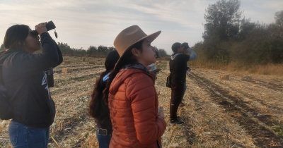En la UG identifican especies de aves asociadas a los agroecosistemas