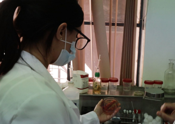 2° Encuentro de la Niña y la Mujer en la Ciencia UG, un espacio para aprender e inspirar a las nuevas generaciones