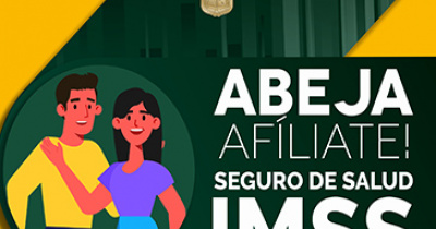 UG invita a estudiantes a afiliarse de forma gratuita al IMSS 
