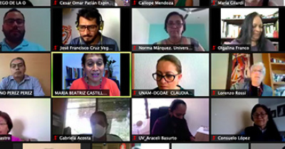 Comparte UG experiencias y resultados del Programa Emergente para la Prevención del Rezago Educativo, en sesión de la ANUIES 