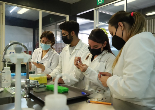 Comunidad UG logra máximo histórico en pertenencia al Sistema Nacional de Investigadoras e Investigadores 