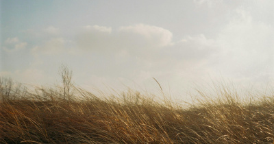 Pronostica meteorólogo de la UG lloviznas y ráfagas de viento frío