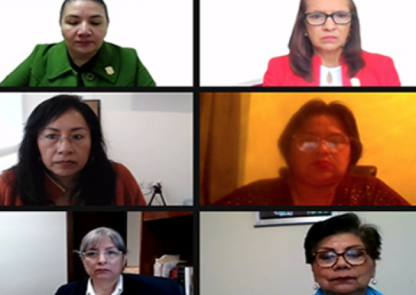 Las personas adultas mayores, población que más ha sufrido durante la pandemia: Red ESAM