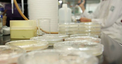 Con actividades híbridas, se genera nuevo conocimiento en la División de Ciencias e Ingenierías de la UG