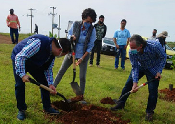 Con 400 especies nativas reforestan sede La Luz en Campus Guanajuato   