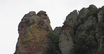 Se realizará en UG VIII Simposio sobre ecosistemas de montaña en México