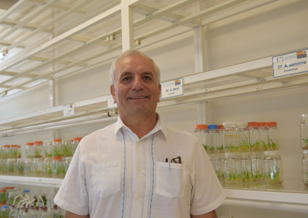 Profesorado UG culmina con éxito proyecto internacional de la OEI financiado por la Unión Europea 