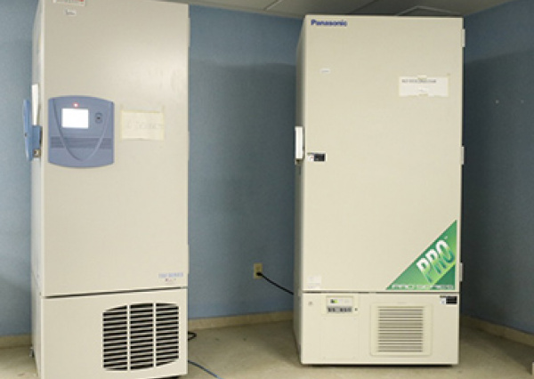 Almacenarán vacunas contra el COVID-19 en ultracongeladores de la UG