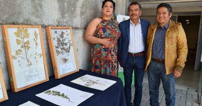 Especialistas en vegetación colaboran en el II Ciclo Internacional de Conferencias de Botánica 
