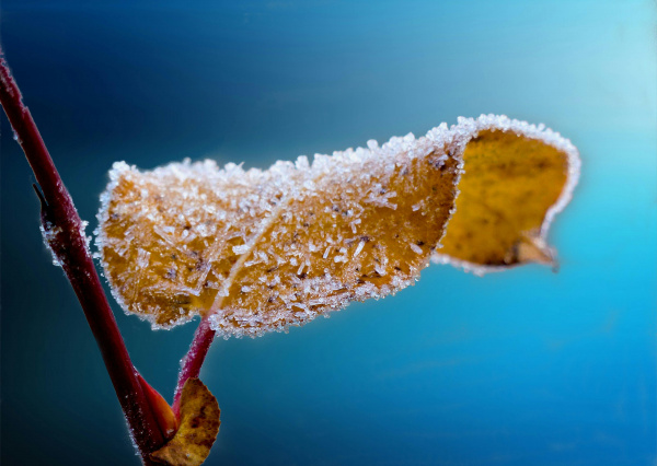 Se prevén temperaturas menores a los 10 °C durante esta semana