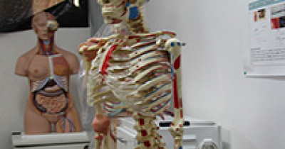 UG investiga la estructura humana para crear estrategias terapéuticas 