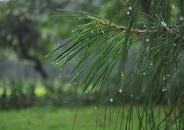 Guanajuato tendrá lluvias pasajeras y sensación térmica fría en esta semana