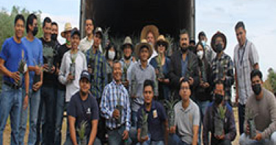 UG en Irapuato recibe donación de 9 mil árboles de la Fundación Grupo México A.C.