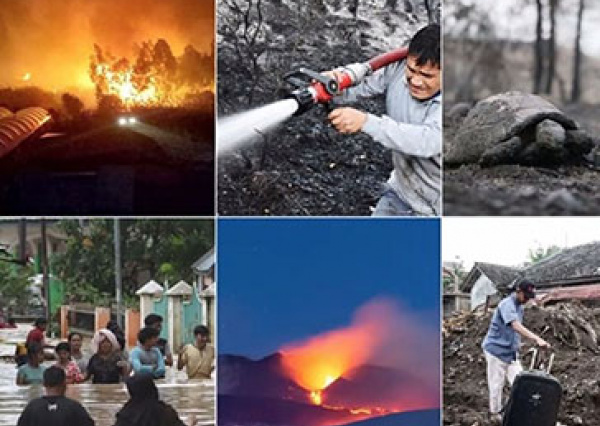 Especialistas reflexionan sobre dilemas éticos desde la perspectiva del Derecho Administrativo ante post pandemia