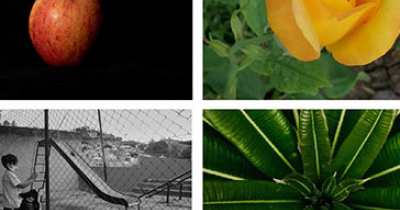 Da a conocer ASPAAUG los nombres de las y los ganadores del Concurso Virtual de Fotografía “Un mundo dentro de casa”