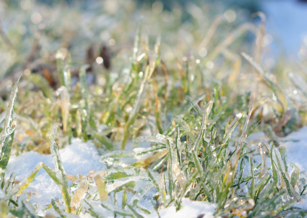 Frente frío llega a Guanajuato, meteorólogo de la UG anticipa madrugadas heladas y tardes cálidas