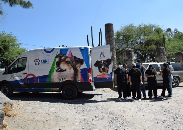 UG y CANI esterilizan caninos y felinos de Valencianita