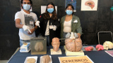 Se realiza la Semana del Cerebro, evento de talla internacional, en la UG 