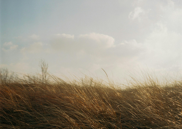 Pronostica meteorólogo de la UG lloviznas y ráfagas de viento frío