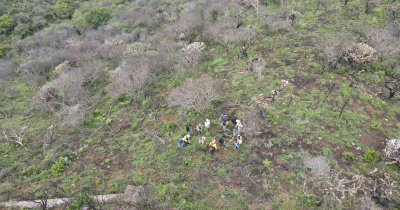 Comunidad del Campus Guanajuato participa en restauración ecológica del área quemada en Sede Marfil 