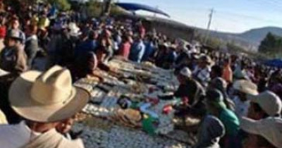 Culto a la Virgen de Guadalupe, insignia de la memoria chichimeca: académico UG 