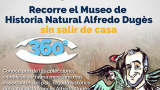 Invita UG a recorridos virtuales del Museo Alfredo Dugès