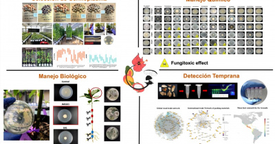 Presentan prácticas agrícolas sostenibles a nivel internacional en las Jornadas de Agronomía UG