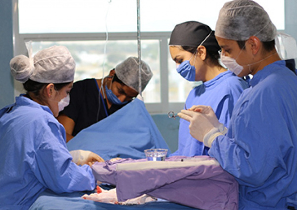 Anuncia UG suspensión de actividades académicas de estudiantes del internado rotatorio de pregrado en campos clínicos