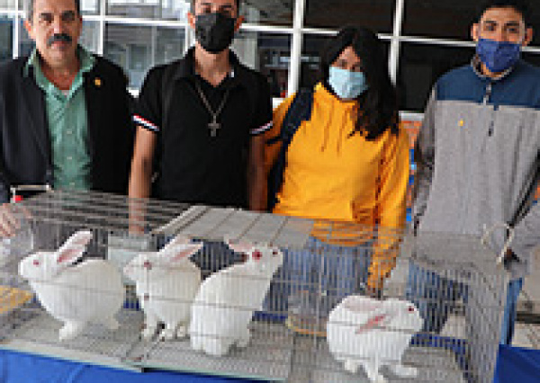 Proyecto UG sobre el uso de microorganismos de montaña como probióticos, se vincula al Desarrollo Sostenible