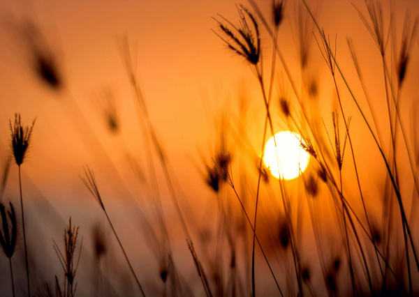 Disminuirán lluvias en Guanajuato y aumentará el calor como efecto de la canícula, pronostica meteorólogo UG