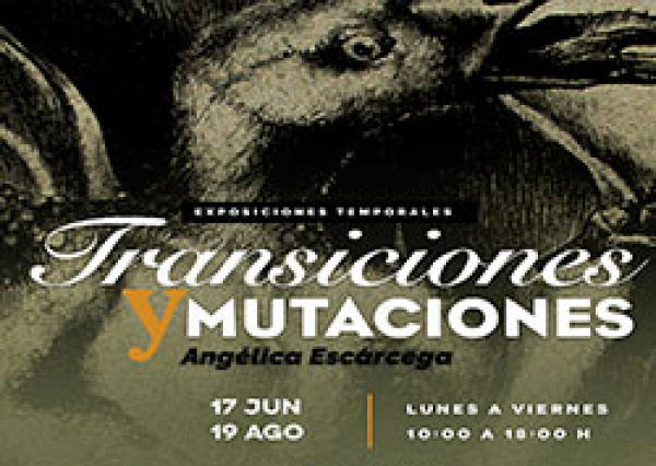 La UG pone el arte y la cultura al alcance del público 