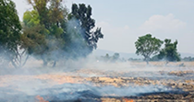 Investigadores UG innovan en el aprovechamiento de residuos agrícolas para la elaboración de bio-productos y combustibles    