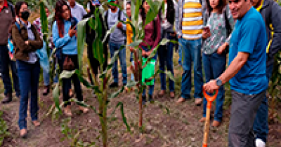 Experto en Agroecología enseña la captura de organismos benéficos y antagónicos para una agricultura sustentable