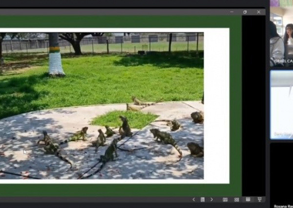 Se realiza el primer intercambio de “Clase Espejo” entre la UG y la Universidad de Colima con el tema “Proyectos Ambientales” 