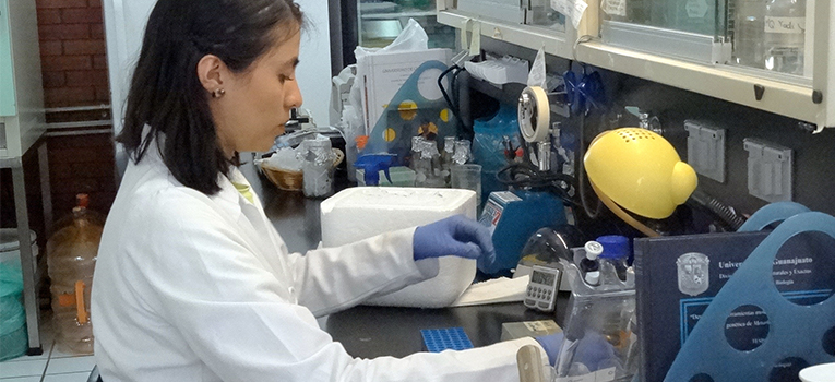 invitan-participar-edicion-virtual-verano-ciencia-ug-ugto