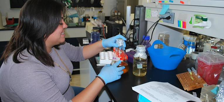 proyectos-biotecnologia-ciencias-agropecuarias-diciva-universidad-guanajuato-ug-1