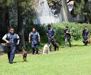 entrenan-unidad-canina-para-seguridad-ug-ugto-