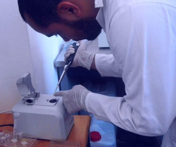 ingenieria-biotecnologia-ccs-universidad-guanajuato-ug-ugto-