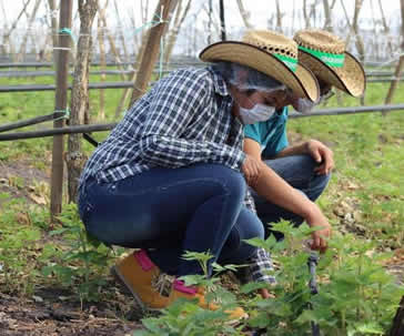 visita-centro-berry-universidad-guanajuato-ug-ugto-